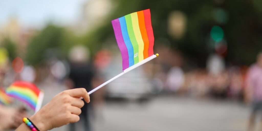 Picture of someone holding a pride flag